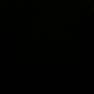 Meet your Posher, Shemeka